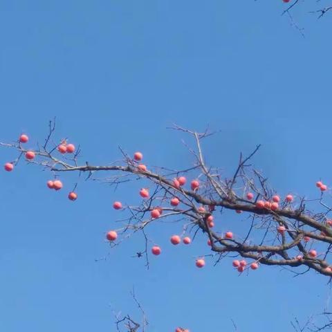 规划发展部“女神节”摄影展