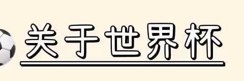 “童”看世界杯⚽️展望足球梦