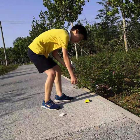 【落实习近平总书记贺信精神，绿城使者在行动】台郭小学：我是社区小主人，我做小小“美容师”