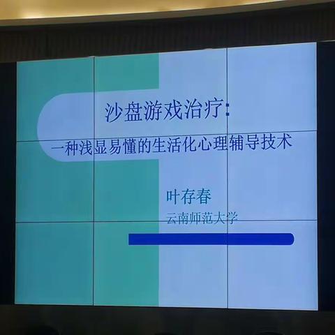 文山州中小学心理健康教师能力素质提升培训——培训小记2