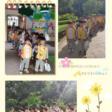 “秋日、秋语、秋画、秋游”【湛江市赤坎区树童年丰豪庭幼儿园】