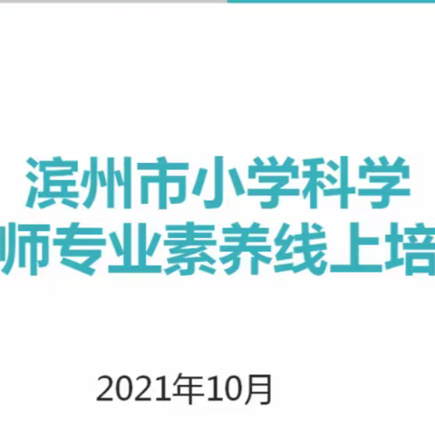 扎实教研 全力提升——碣石山镇小学参加全市小学科学教师专业素养提升与新教材培训活动