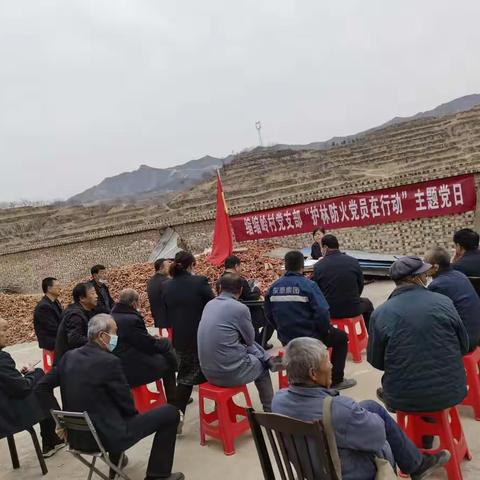 缩缩岭村“护林防火党员在行动”主题党日活动