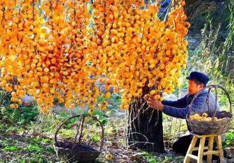 多彩童年 收获秋天 ——中一幼儿园丰华校点手工制作活动