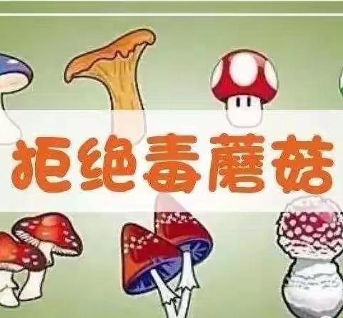 七星墩幼儿园提醒您——谨防误食有毒野生植物 引起食物中毒