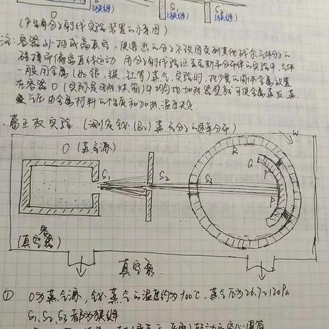 总结王雨萱