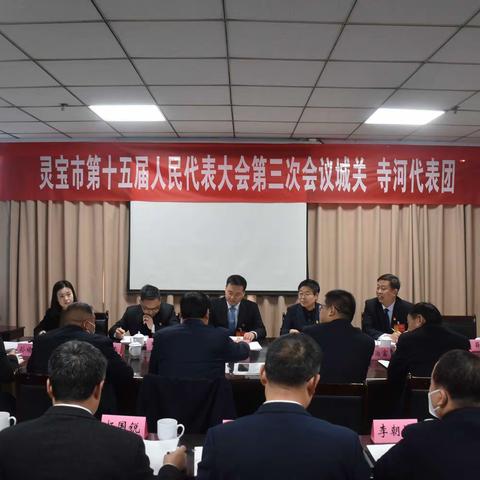 履职尽责促发展 凝心聚力展宏图——城关寺河代表团热议政府工作报告