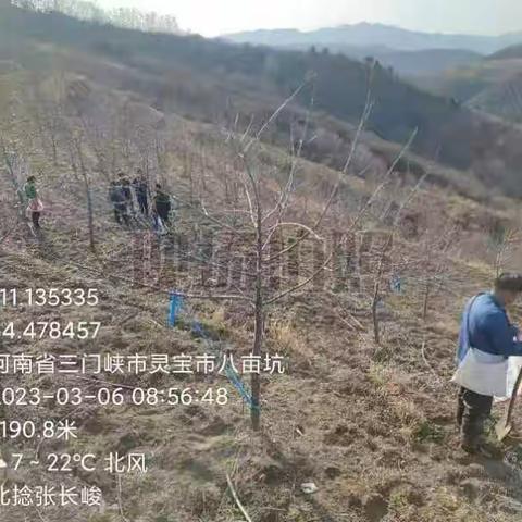 【3月6日工作动态】务实创新谋发展，共建美丽寺河山！