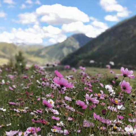 海之韵的美篇