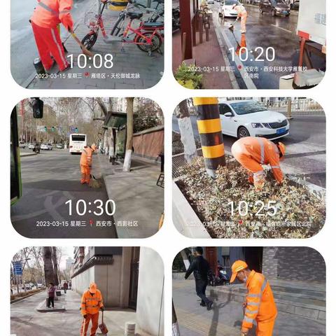 西安易之顺雁塔项目3月15日工作简报