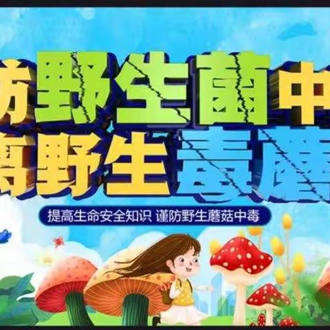 湘粤幼儿园太阳四班《预防野生蘑菇🍄中毒》主题活动。