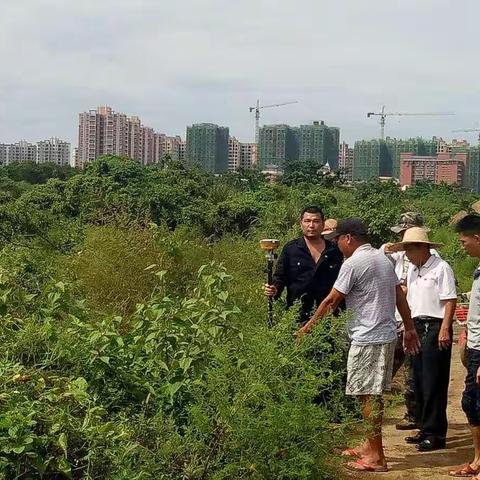 龙华区791项目指挥部项目进展情况每日一报