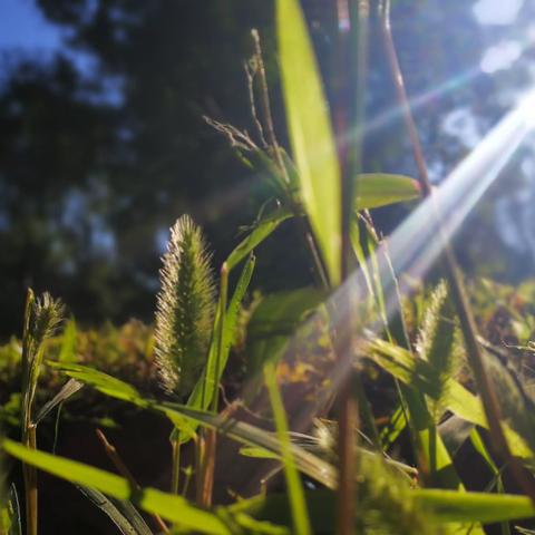 愿有前程可奔赴，亦有岁月可回首（副本）