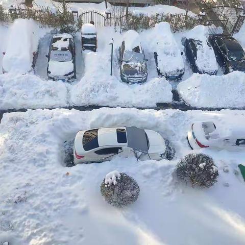 冬天的第一场暴雪