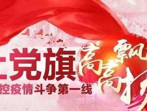 抗疫旌旗，党员初心：大德、大爱、大情怀（十）党员先锋岗的故事