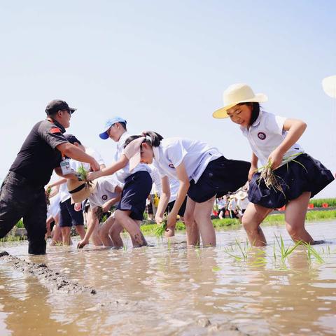 太平小学四（5）班暑期农耕实践活动