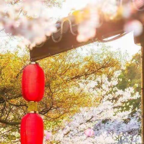 女人一生一定要去的8个地方，争取每年去一个，可好？