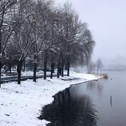 雪后南湖