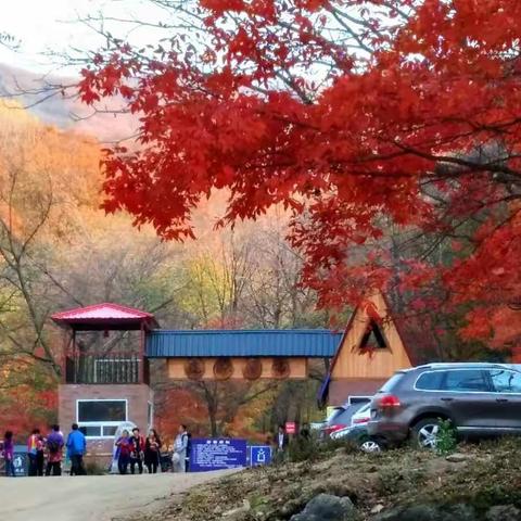 金秋十月、红叶之城、蛟河丶虎脸瀑布、邀您共赏、美景丶电话微信同步15981262111