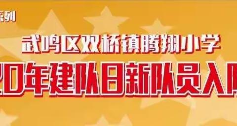 《红色传奇》系列——武鸣区双桥镇腾翔小学2020年建队日新队员入队仪式