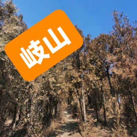 走过那座山，才知时不我待——再访岐山霸王寨