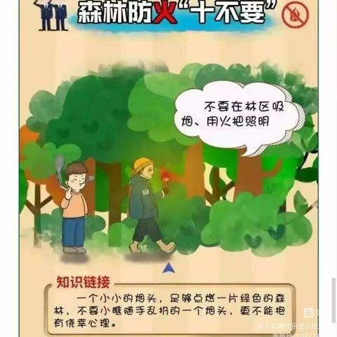 森林防火，人人有责——大理市湾桥镇甸中完小森林防火倡议书