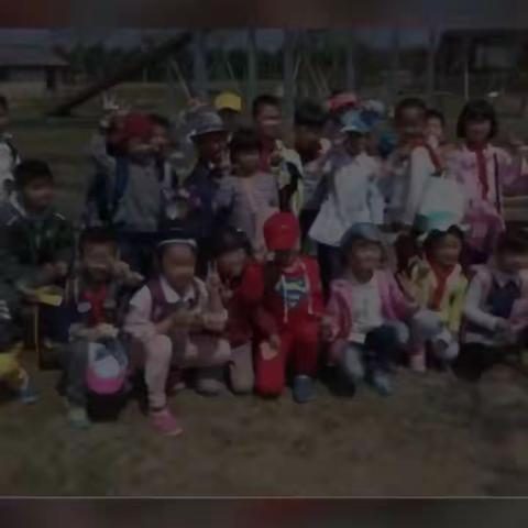 告别，在夏花灿烂的时候