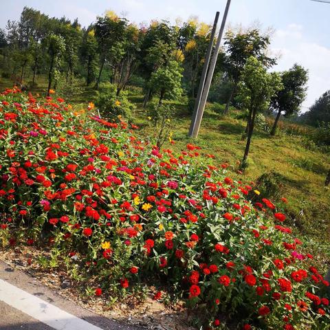 赏秋等秋倾城之美