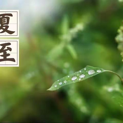 中国传统二十四节气~~夏至