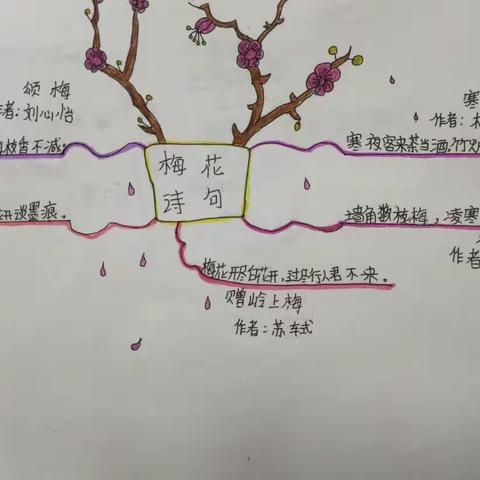 思维导图在小学语文中的应用（二）——何彩云同学作品集