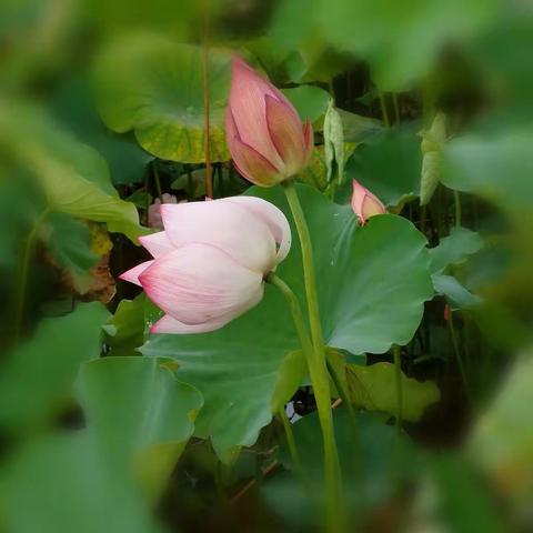 2111班 一路向前 披荊斩棘