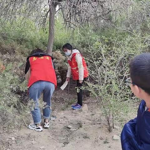 鹿苑街道同丰社区