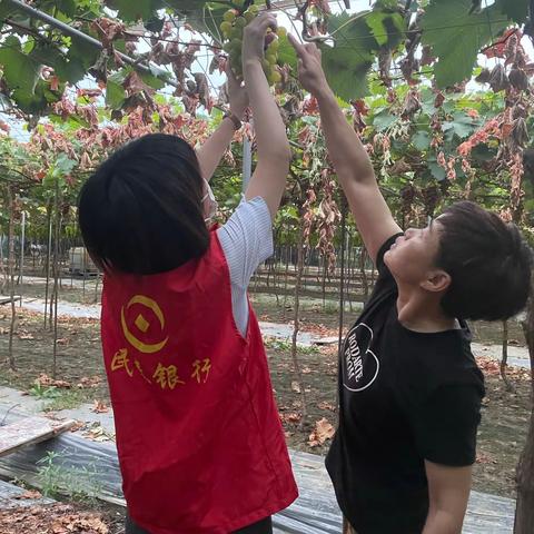 关爱农户，助农为乐