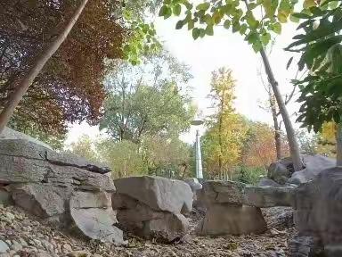 2022.10.27~摄影~秋天的留恋