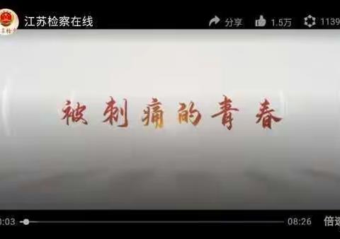 滨海县界牌镇中心小学开展《被刺痛的青春》青少年法治主题教育活动