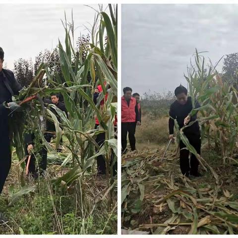 机器难进地、党员来帮忙