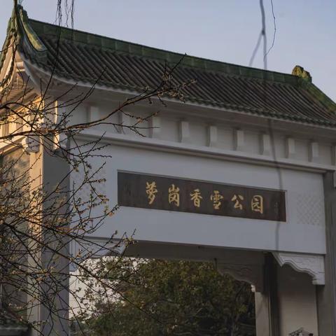 香雪公园鸟语花香