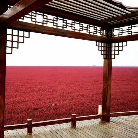 十月到盘锦红海滩，感受浩瀚美丽的秋色景观