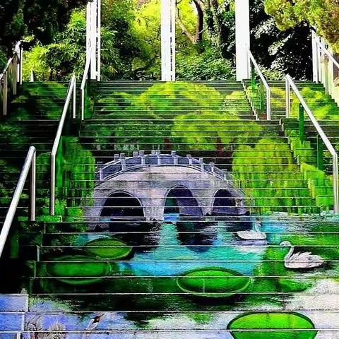 夏日到香港九龙公园观赏洒脱优雅的火烈鸟