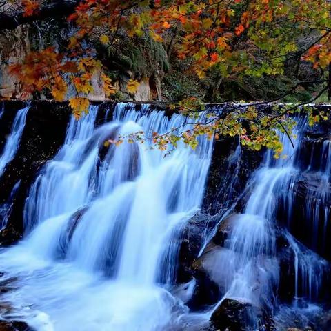 秋日到丹东天桥沟，在溪谷中体验红枫的美丽