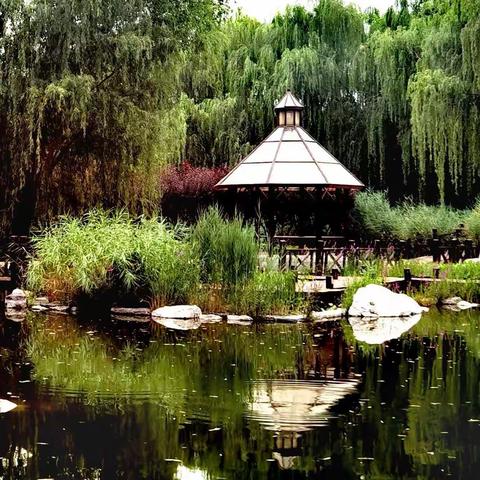 京城夏日，去望京北小河公园，休闲遛娃好玩的地方