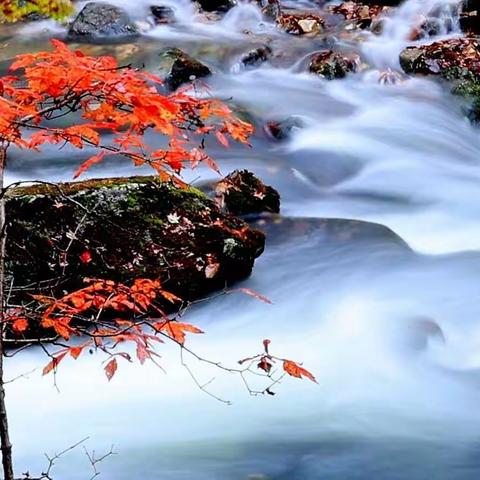 深秋时节，到本溪关门山森林公园观赏拍摄枫叶和溪瀑