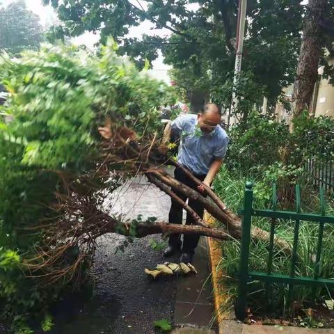 裕华区园林大队闻“汛”而动 全力以赴巩筑园林屏障