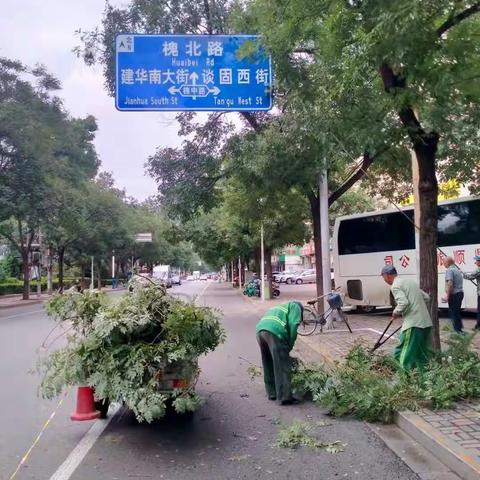 裕华区园林大队开展遮挡信号灯、指示牌树木树枝专项整治工作