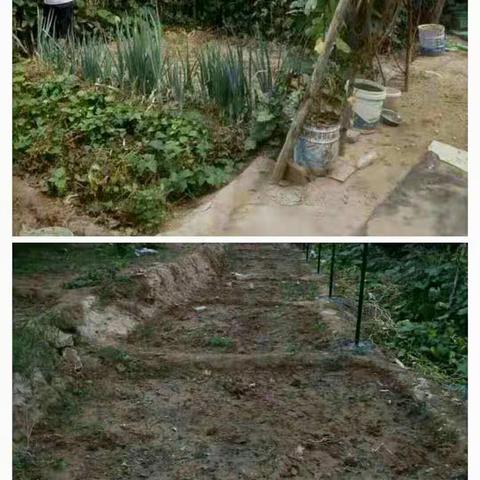 裕华区园林大队关于违法侵绿现象始终坚持“零容忍”态度