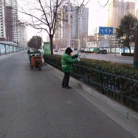 裕华区园林工人春节期间不畏严寒坚守岗位一线
