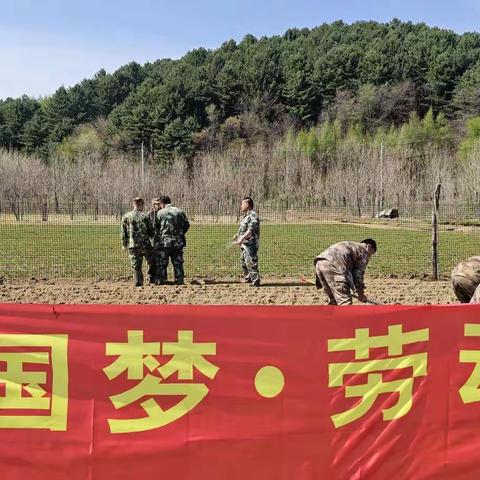 大边沟林场“中国梦.劳动美”劳动日记