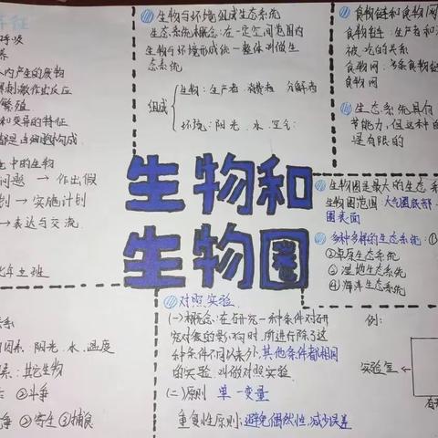 书香校园———思维导图绘万卷 深耕细作溢书香