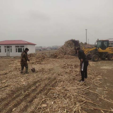 【“我帮你”进行时】关爱困难老人 志愿服务送温暖