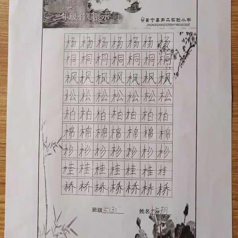 静心习字，努力超越昨天       ——彩色牵牛花中队书写展示（一）